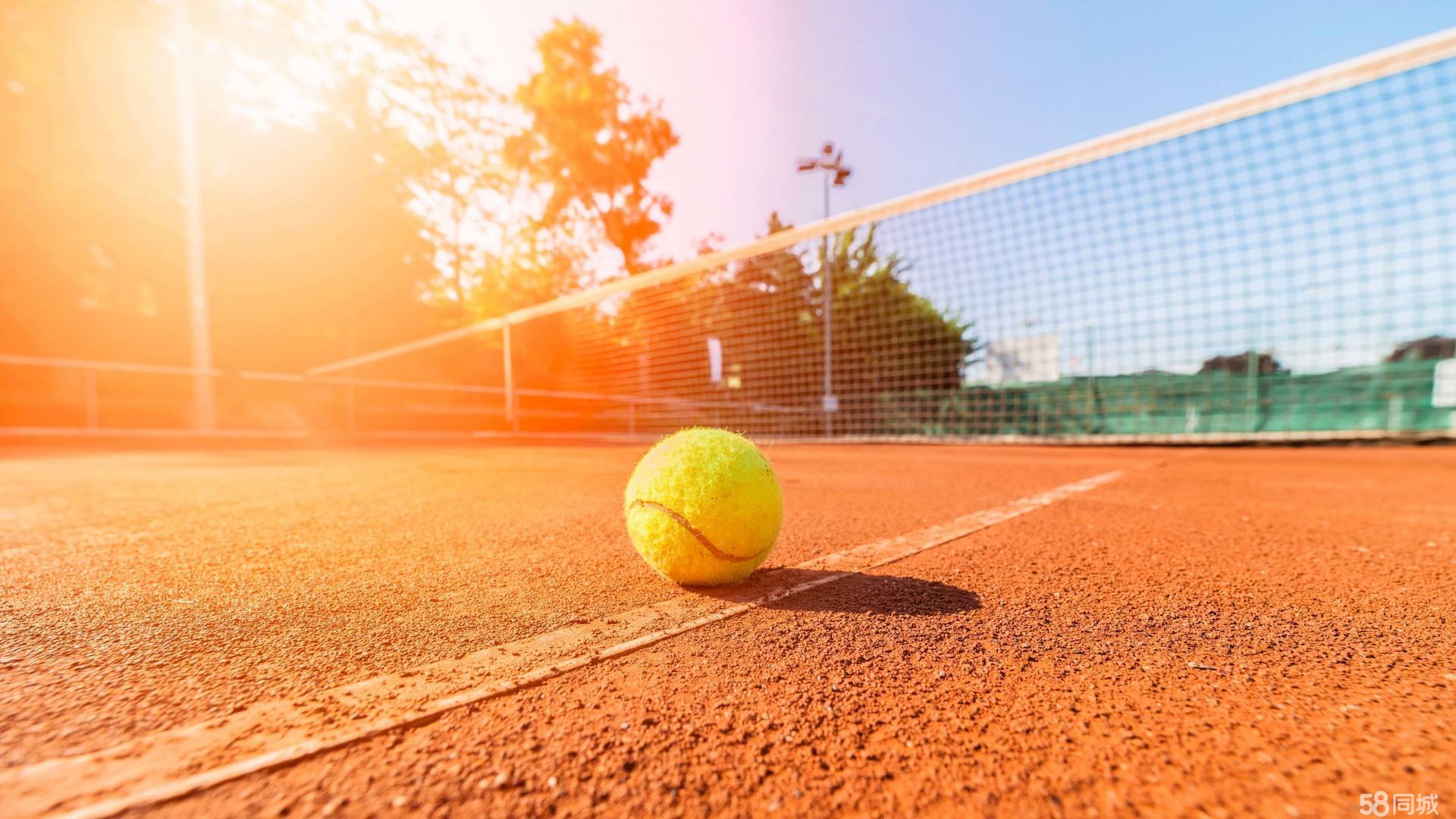 样注重家庭 样注重家庭