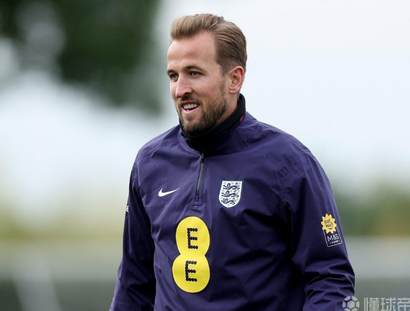 政治领域的 政治领域的