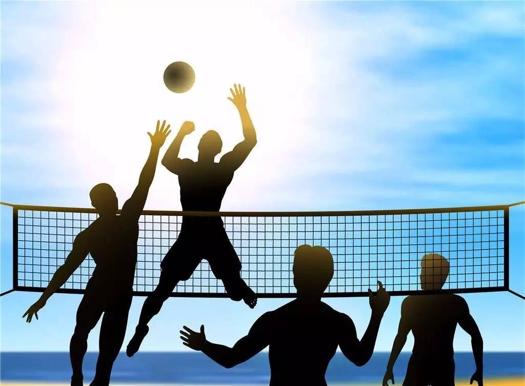 会专家罗马 会专家罗马